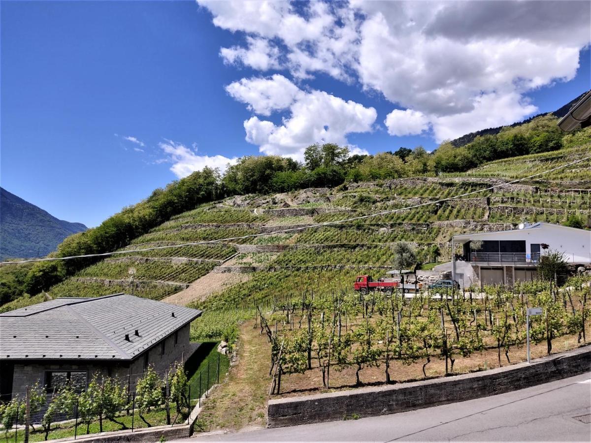 B&B Il Germoglio Castione Andevenno エクステリア 写真